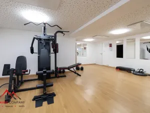 Pronájem bytu 1+kk, Ostrava, Cihelní, 43 m2