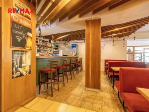 Prodej rodinného domu, Doksy, Pod Borným, 1700 m2