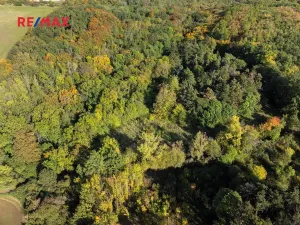 Prodej lesa, Praha - Malá Chuchle, 17570 m2