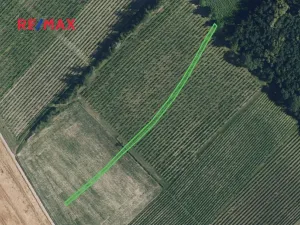 Prodej sadu/vinice, Josefov, 1165 m2