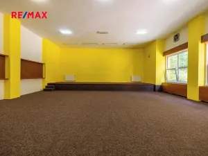 Prodej ubytování, Doksy, Pod Borným, 1700 m2