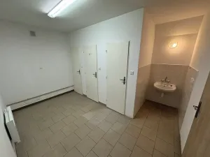 Pronájem skladu, Chýně, Družstevní, 600 m2