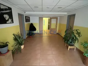 Prodej bytu 1+1, České Budějovice, K. Chocholy, 44 m2