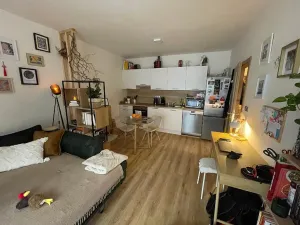 Pronájem bytu 2+kk, Pardubice, Rokycanova, 52 m2