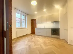 Pronájem bytu 1+1, Liberec, Hálkova, 55 m2