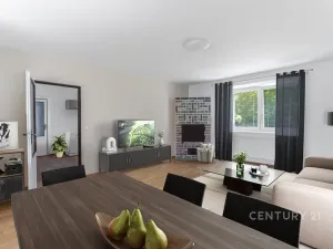 Prodej vícegeneračního domu, Kamýk nad Vltavou, 320 m2