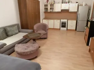 Pronájem bytu 1+kk, Pardubice, Bělehradská, 40 m2