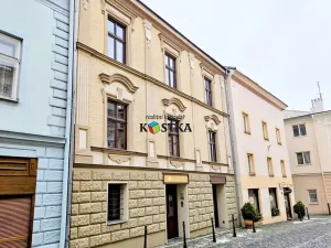 Pronájem bytu 3+kk, Příbor, Místecká, 154 m2