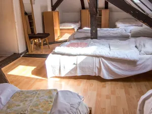 Prodej ubytování, Dolní Moravice, 489 m2