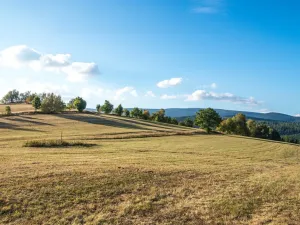 Prodej ubytování, Dolní Moravice, 489 m2