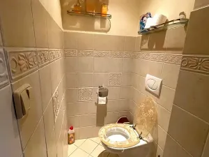 Prodej rodinného domu, Pašovice, 167 m2