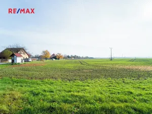 Prodej pozemku pro bydlení, Všechlapy, 9214 m2