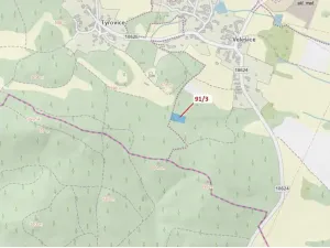 Dražba lesa, Pačejov, 1958 m2