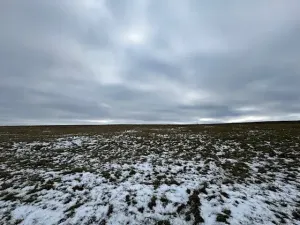 Dražba pole, Litoměřice, 8107 m2