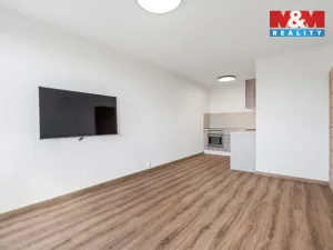 Prodej bytu 2+kk, Teplice - Trnovany, Trnovanská, 43 m2