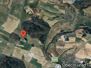 Prodej lesa, Tuřice, 7985 m2