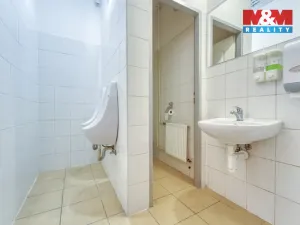 Pronájem obchodního prostoru, Plzeň - Východní Předměstí, Americká, 208 m2