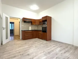 Prodej bytu 1+1, Plzeň, Tělocvičná, 47 m2