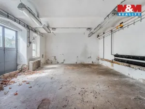 Prodej obchodního prostoru, Česká Kamenice, Lipová, 1225 m2