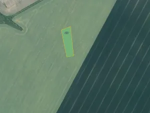 Prodej pole, Děčany, 4184 m2