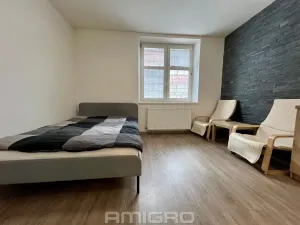 Pronájem bytu 1+kk, Brno, Životského, 24 m2