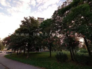 Pronájem bytu 1+kk, Ostrava - Moravská Ostrava, Gen. Janouška, 30 m2