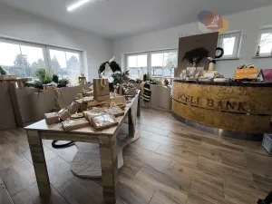 Prodej rodinného domu, Petrovice u Karviné, 12976 m2