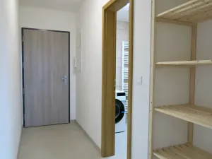 Pronájem bytu 2+kk, Plzeň, Pallova, 45 m2