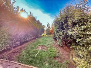 Prodej bytu 1+kk, Praha - Řeporyje, Wiesenthalova, 38 m2