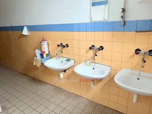 Pronájem skladu, Znojmo, 441 m2