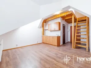 Pronájem bytu 1+kk, Olomouc, Masarykova třída, 21 m2