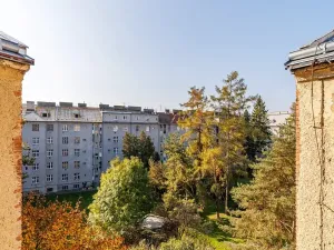 Pronájem bytu 1+kk, Olomouc, Masarykova třída, 21 m2