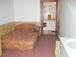 Pronájem bytu 2+kk, Praha - Nusle, Křesomyslova, 49 m2