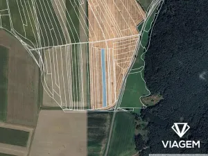 Prodej podílu pole, Česká Bříza, 1856 m2