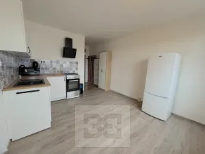 Pronájem bytu 1+1, České Budějovice, Emy Destinové, 36 m2