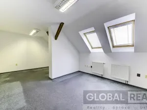 Prodej obchodního prostoru, Svitavy, Vojanova, 401 m2