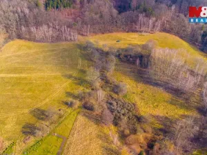 Prodej louky, Žandov - Radeč, 3251 m2