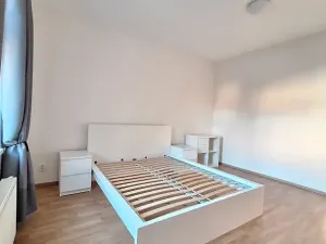 Pronájem bytu 2+1, Praha - Bubeneč, U zeměpisného ústavu, 46 m2