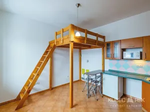 Pronájem bytu 1+kk, Tábor, Třebízského, 20 m2