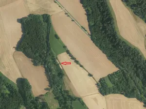 Prodej louky, Svijanský Újezd, 940 m2