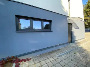 Pronájem bytu 4+kk, Brno - Štýřice, Sovinec, 92 m2