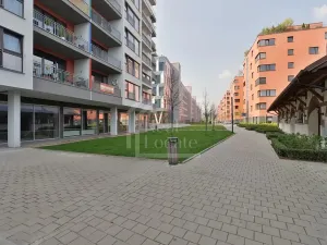 Pronájem bytu 2+kk, Praha - Holešovice, Jankovcova, 65 m2