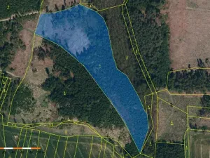 Prodej lesa, Chýstovice, 24882 m2