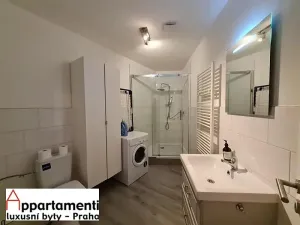Pronájem bytu 2+kk, Praha - Vinohrady, Na Švihance, 73 m2