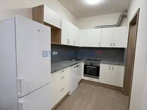 Pronájem bytu 3+kk, České Budějovice, Rožnovská, 61 m2