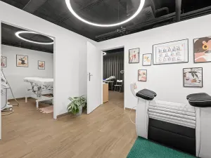 Pronájem obchodního prostoru, Praha - Karlín, Sokolovská, 363 m2