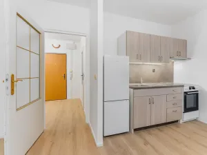 Prodej bytu 2+kk, Brno - Židenice, Čejkovická, 43 m2