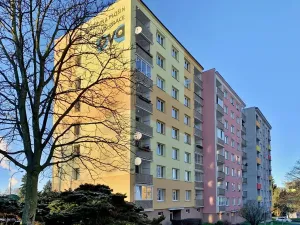 Pronájem bytu 1+1, Chodov, Čs. odbojářů, 36 m2