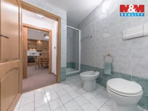 Prodej bytu 2+kk, Praha - Staré Město, Týnská ulička, 42 m2