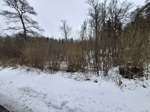 Prodej pozemku, Odrava, 5732 m2